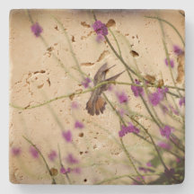 Hummingbird Travertine Coasters