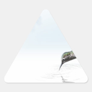 Hummingbird Triangle Sticker