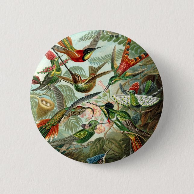 Hummingbird (Trochilidae) by Haeckel Button (Front)