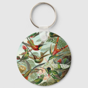 Hummingbird (Trochilidae) by Haeckel Keychain