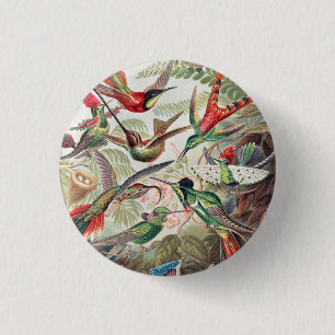 Hummingbird, Trochilidae Kolibris by Ernst Haeckel 3 Cm Round Badge