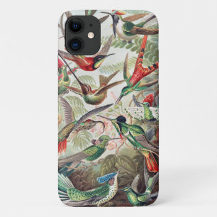 Hummingbird, Trochilidae Kolibris by Ernst Haeckel iPhone 11 Case