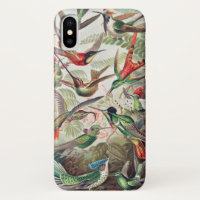 Hummingbird, Trochilidae Kolibris by Ernst Haeckel