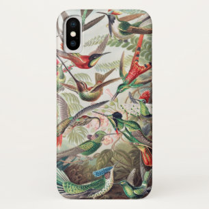 Hummingbird, Trochilidae Kolibris by Ernst Haeckel iPhone X Case