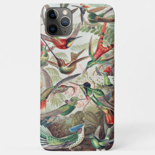 Hummingbird, Trochilidae Kolibris by Ernst Haeckel iPhone 11 Pro Max Case