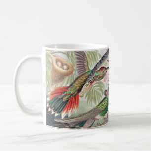 Hummingbird, Trochilidae Kolibris by Ernst Haeckel Coffee Mug