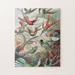 Hummingbird, Trochilidae Kolibris by Ernst Haeckel Jigsaw Puzzle