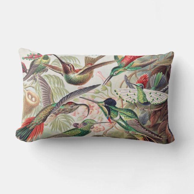 Hummingbird, Trochilidae Kolibris by Ernst Haeckel Lumbar Cushion (Front)