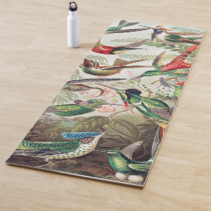 Hummingbird, Trochilidae Kolibris by Ernst Haeckel Yoga Mat