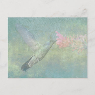 Hummingbird Tune Postcard