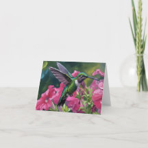 Hummingbird visiting my basket of flowers