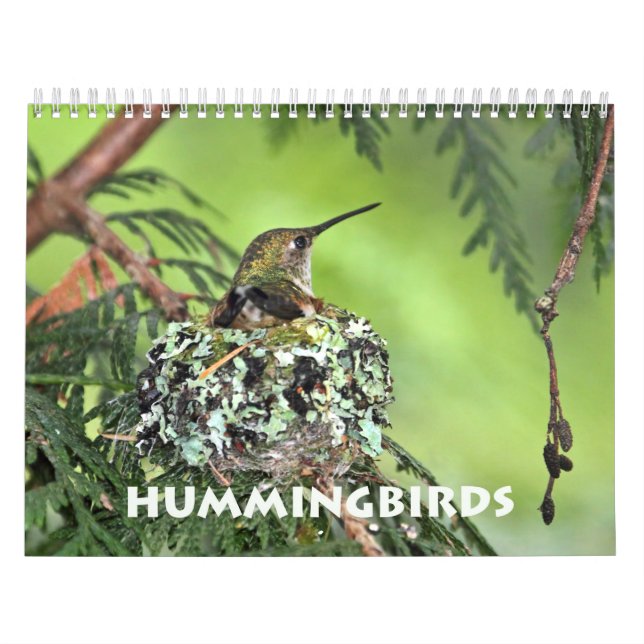 Hummingbird Wall Calendar (Cover)
