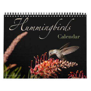Hummingbird Wall Calendar