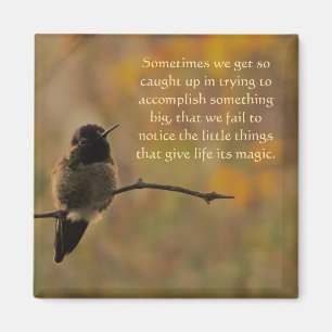 Hummingbird Warm Colours Inspirational Quote Magnet