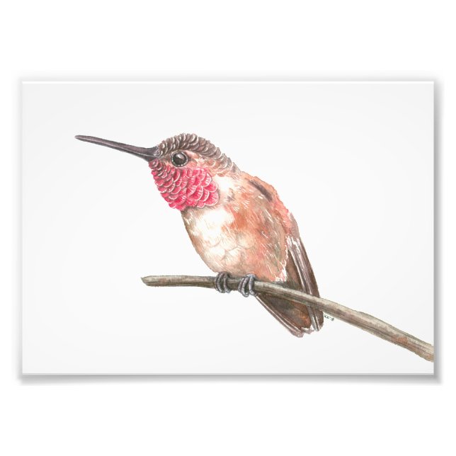 Hummingbird watercolor photo print (Front)