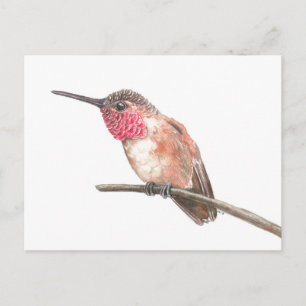 Hummingbird watercolor postcard