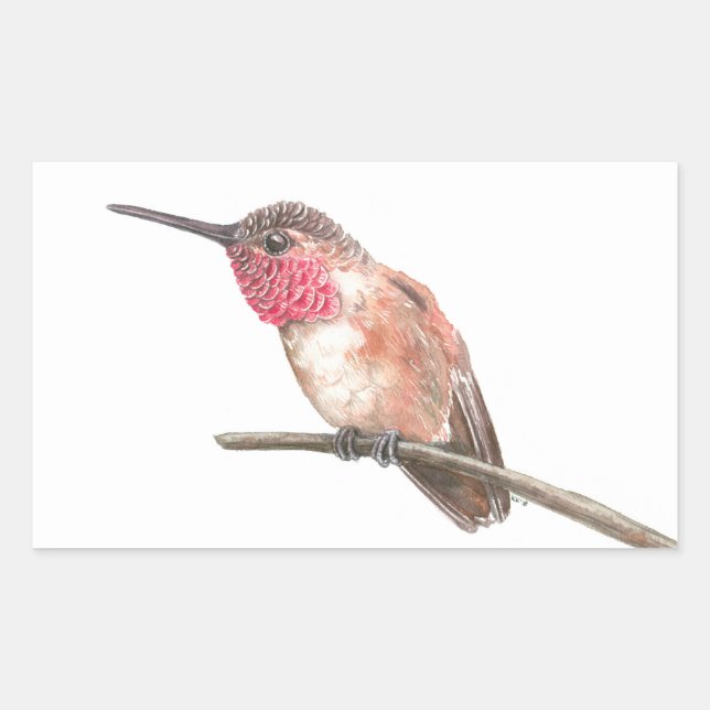 Hummingbird watercolor rectangular sticker (Front)