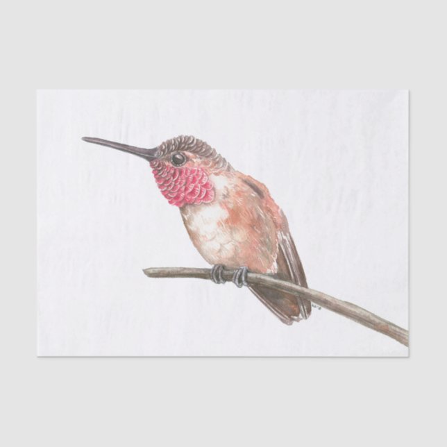 Hummingbird watercolor tissue paper (Front)