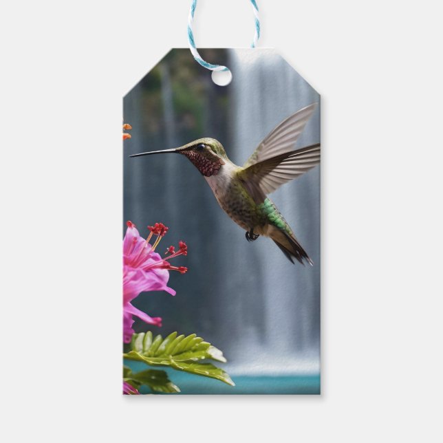 Hummingbird Waterfall Park,  Gift Tags (Front)