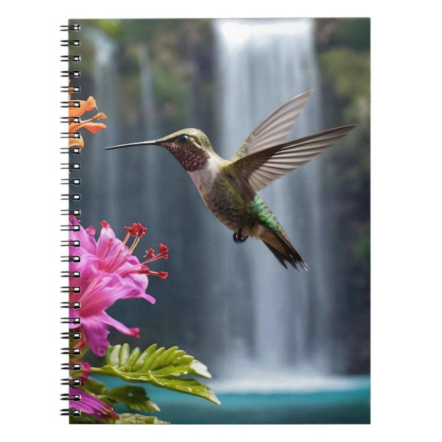 Hummingbird Waterfall Park,  Notebook (Front)