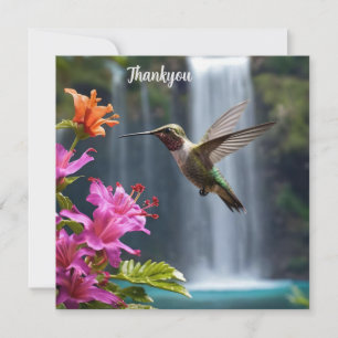 Hummingbird Waterfall Park, Thank You Card