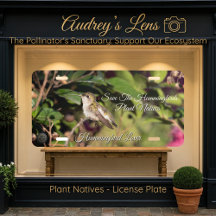 Hummingbird & Wildflower "Plant Natives" 