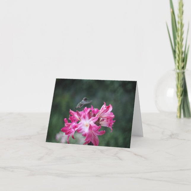 Hummingbird with belladonna lilies card (Front)