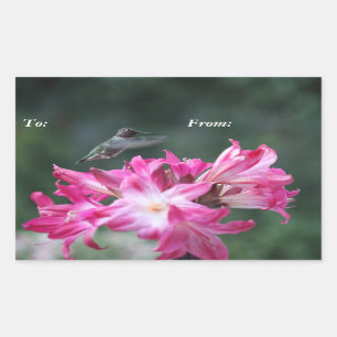 Hummingbird with belladonna lilies gift tag