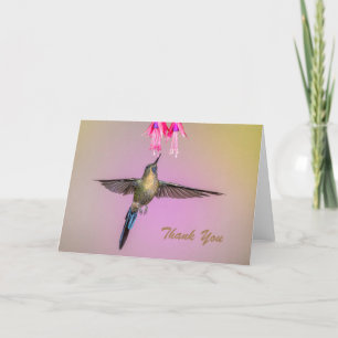 Hummingbird with Long Tail Thank You Card