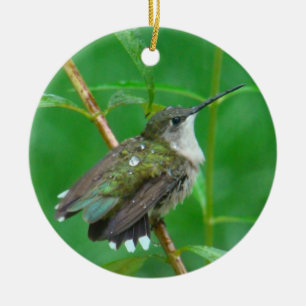 Hummingbird with Wings Spread Ceramic Tree Decoration