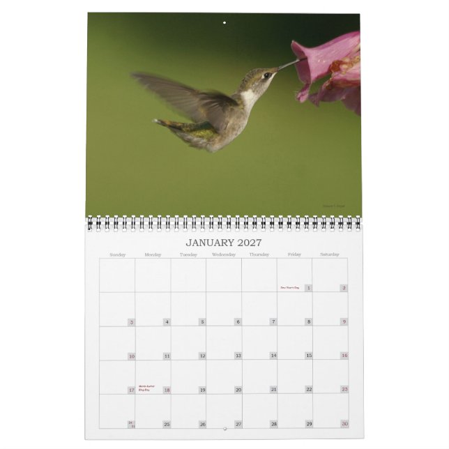 Hummingbirds - 2010 calendar (Jan 2027)