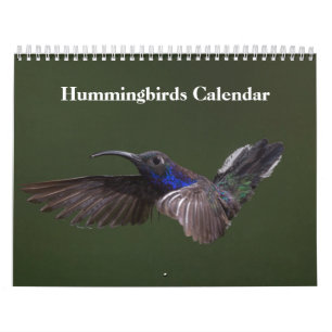 Hummingbirds 2026 calendar