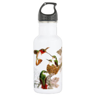 Hummingbirds 532 Ml Water Bottle
