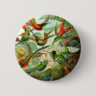 Hummingbirds 6 Cm Round Badge