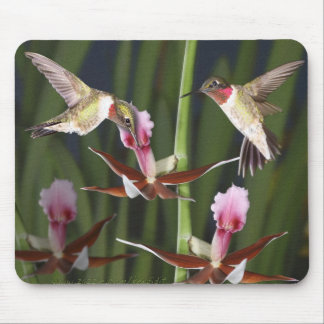 Hummingbirds and Blooms Mouse Mat