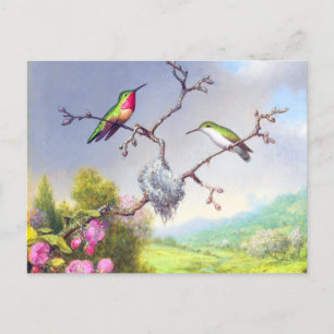 Hummingbirds and blossoms art postcard
