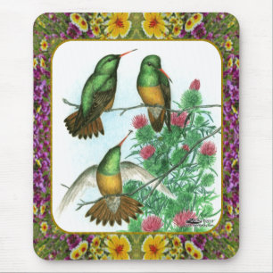 Hummingbirds and Flowers #1 Mouse Mat
