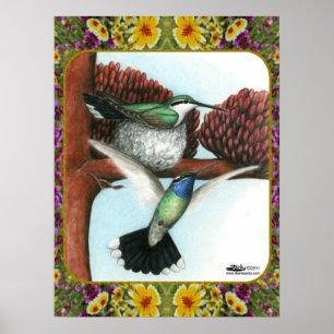 Hummingbirds and Flowers #3 Poster