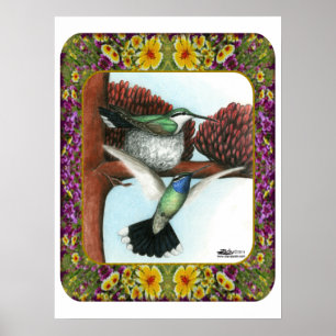 Hummingbirds and Flowers #3 Poster