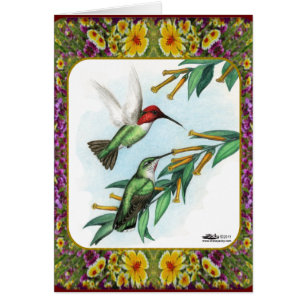 Hummingbirds and Flowers #4