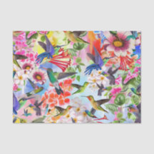 Hummingbirds and Flowers