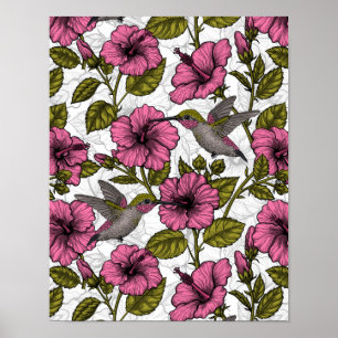 Hummingbirds and pink hibiscus flowers poster