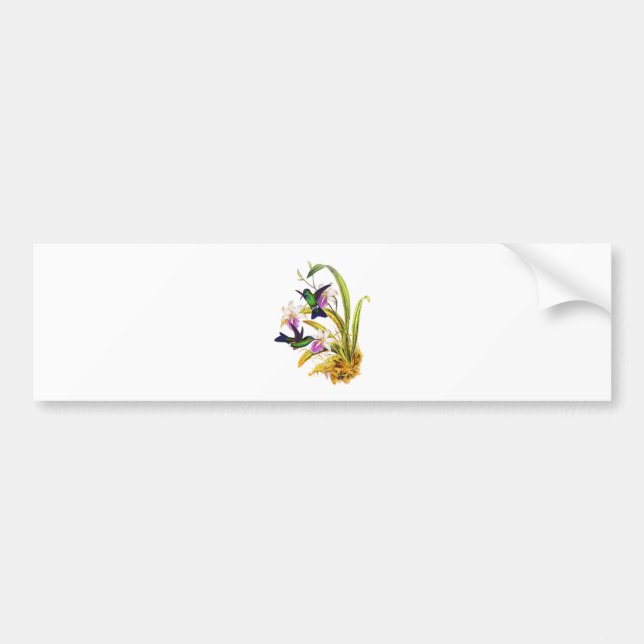 Hummingbirds and Purple Orchids Bumper Sticker (Front)