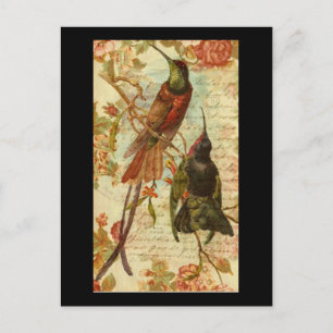 Hummingbirds and Roses Postcard