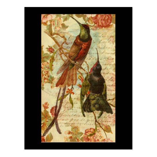 Hummingbirds and Roses Postcard