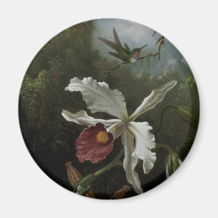 Hummingbirds and White Orchid by Martin J. Heade Magnet