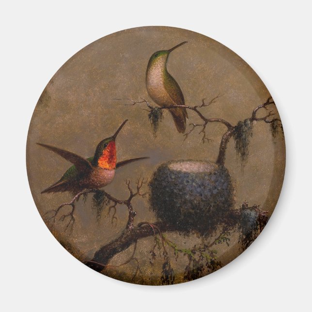 Hummingbirds bird nest victorian heade painting  magnet (Front)