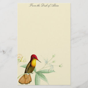 Hummingbirds Birds Flowers Floral Wildlife Animals Stationery