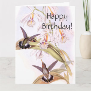 Hummingbirds Birthday Big Greeting Card