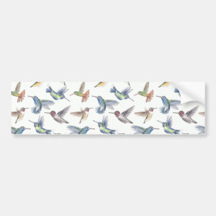 Hummingbirds Bumper Sticker
